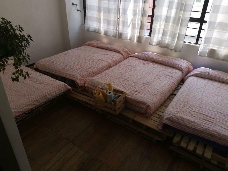 Hotel Hostal Savoy Meksika Dış mekan fotoğraf